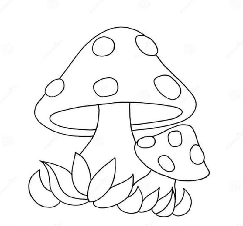 tranh-to-mau-cay-nam-dep (9)