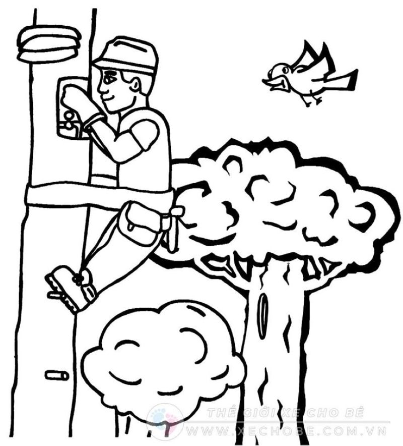 tranh-to-mau-chu-bo-doi-dep (30)