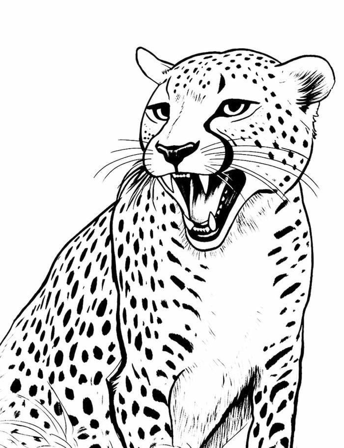 tranh-to-mau-con-bao (3)