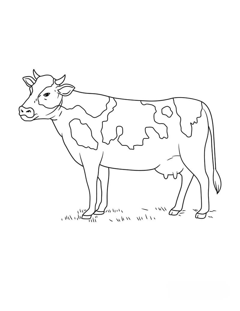 tranh-to-mau-con-bo (24)