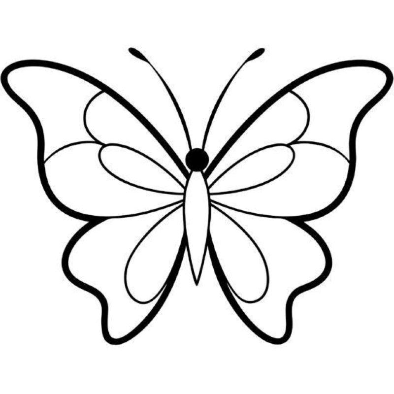 tranh-to-mau-con-buom-dep (1)