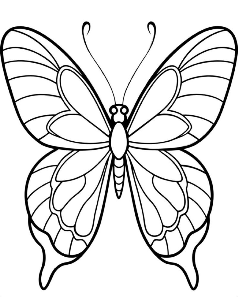 tranh-to-mau-con-buom-dep (10)