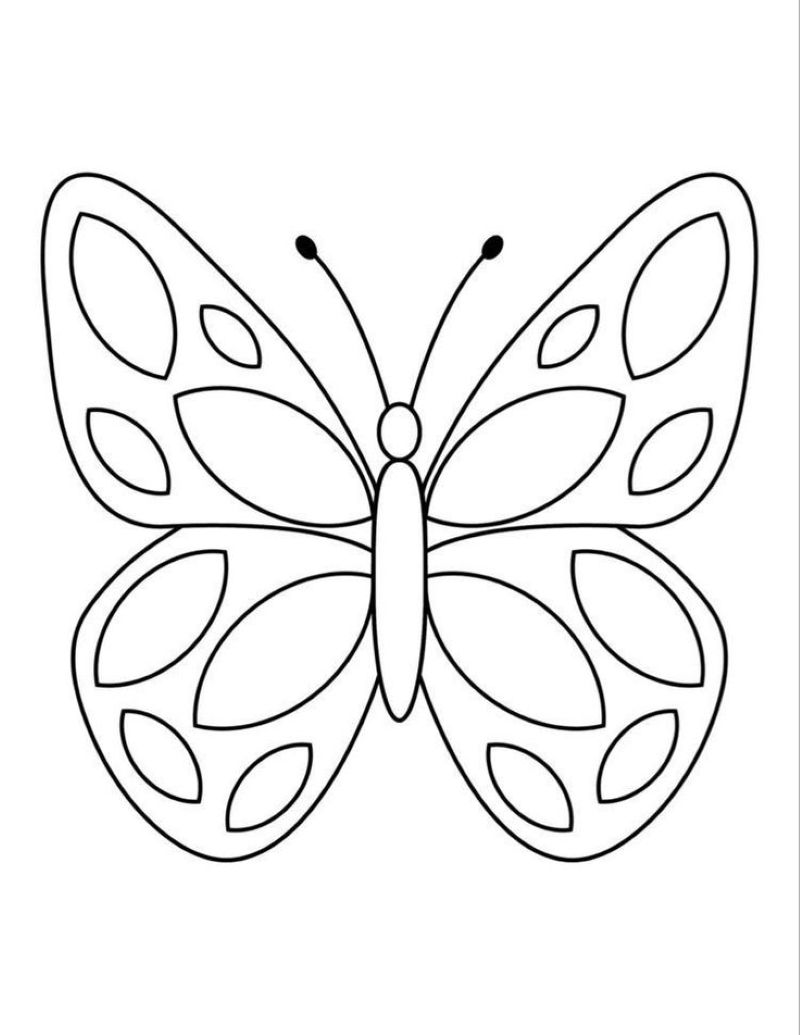 tranh-to-mau-con-buom-dep (11)