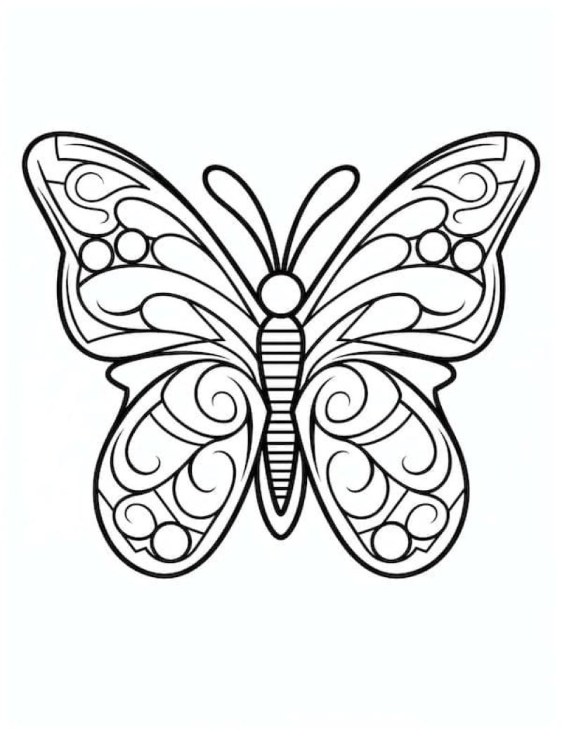 tranh-to-mau-con-buom-dep (14)