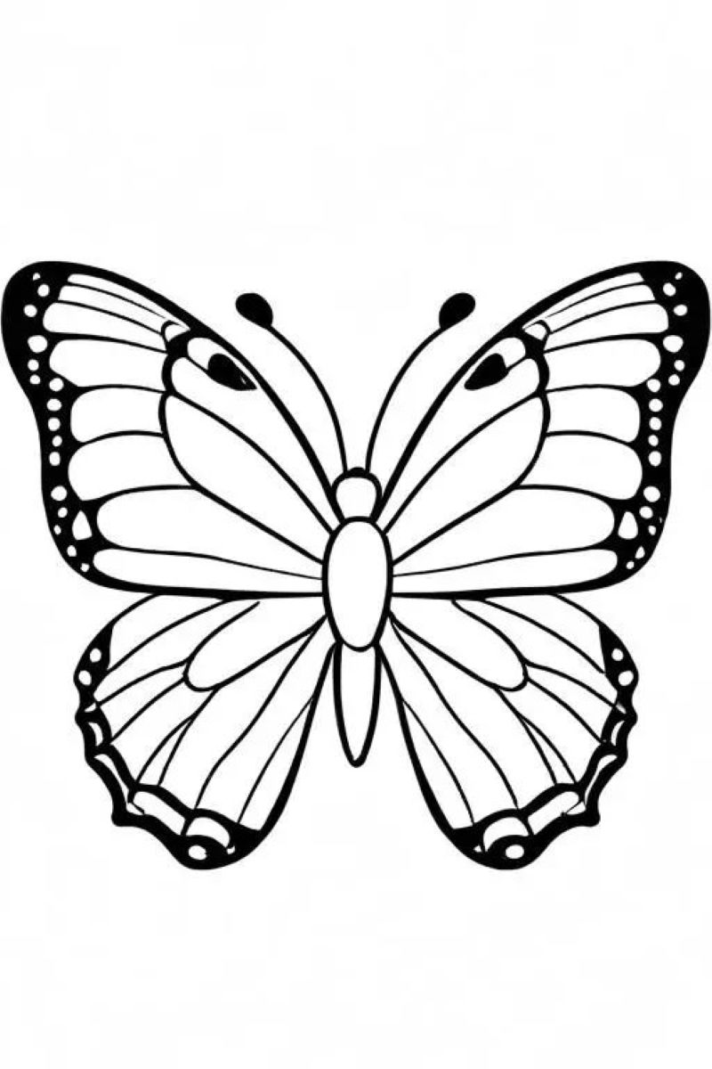 tranh-to-mau-con-buom-dep (18)