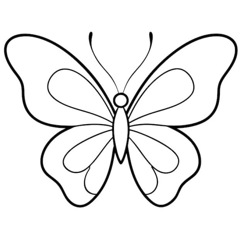 tranh-to-mau-con-buom-dep (19)