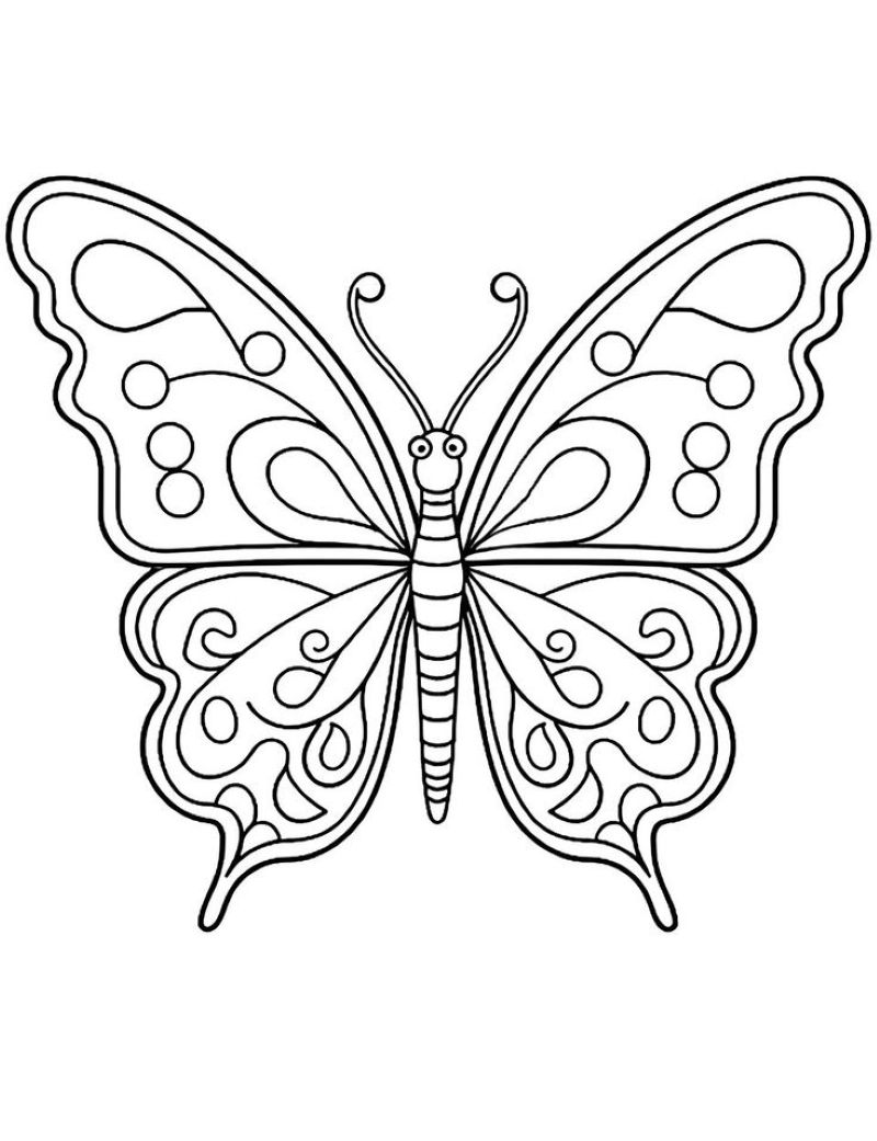 tranh-to-mau-con-buom-dep (2)