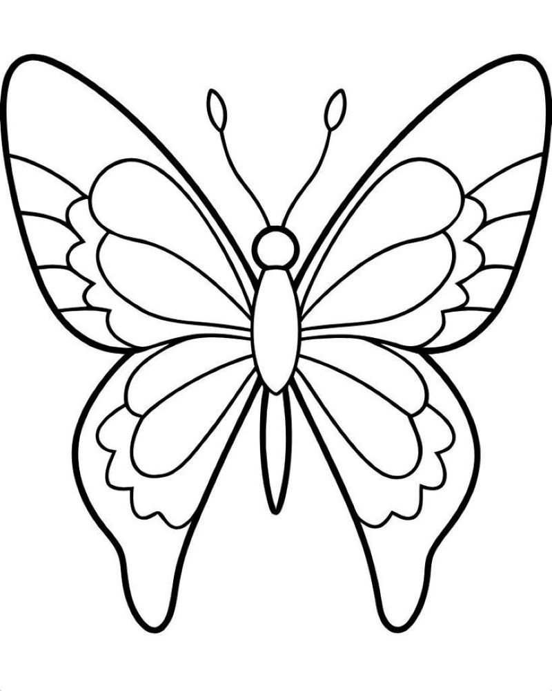 tranh-to-mau-con-buom-dep (23)