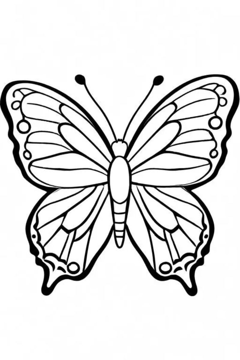 tranh-to-mau-con-buom-dep (26)