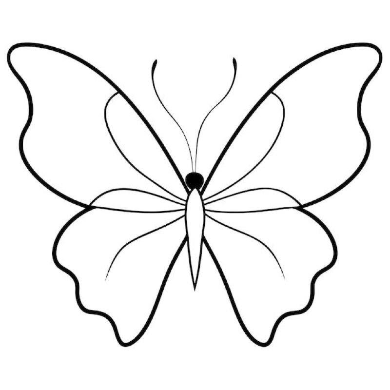 tranh-to-mau-con-buom-dep (27)