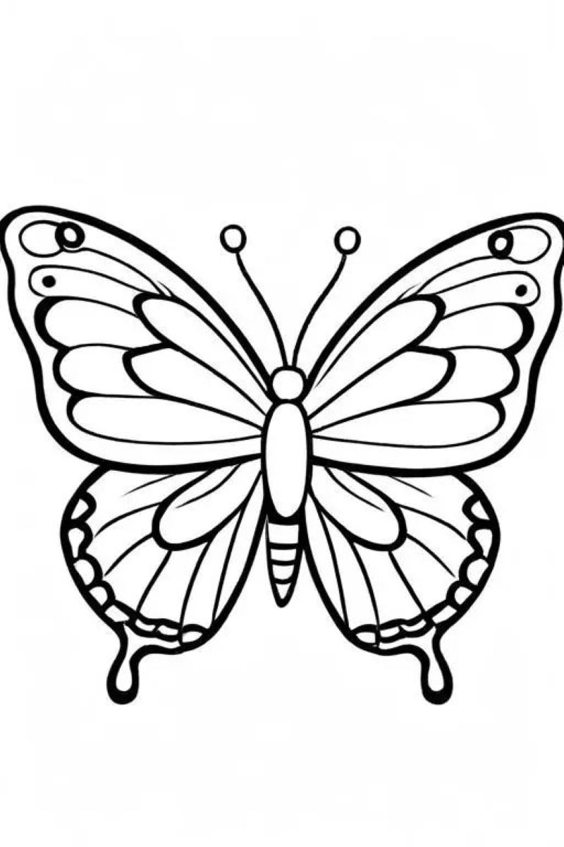 tranh-to-mau-con-buom-dep (6)