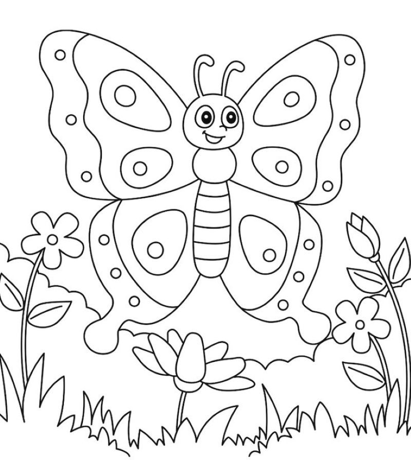 tranh-to-mau-con-buom-dep (7)