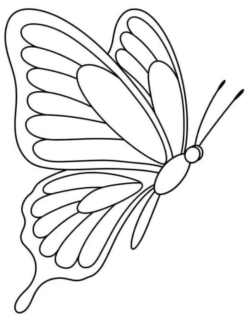 tranh-to-mau-con-buom-dep (8)