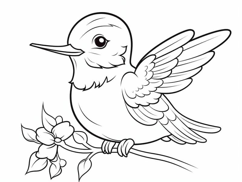 tranh-to-mau-con-chim (9)