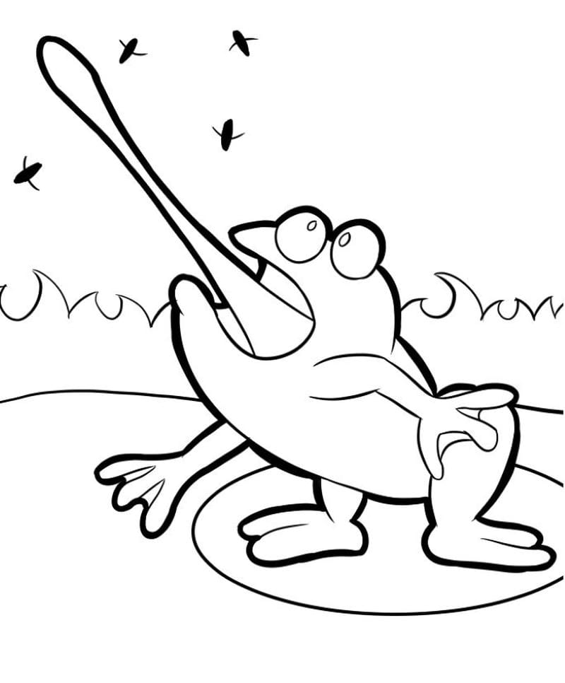 tranh-to-mau-con-ech (11)