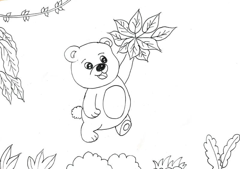 tranh-to-mau-con-gau (40)