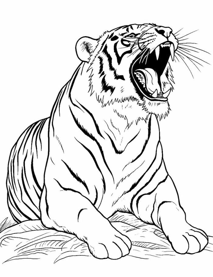 tranh-to-mau-con-ho (12)