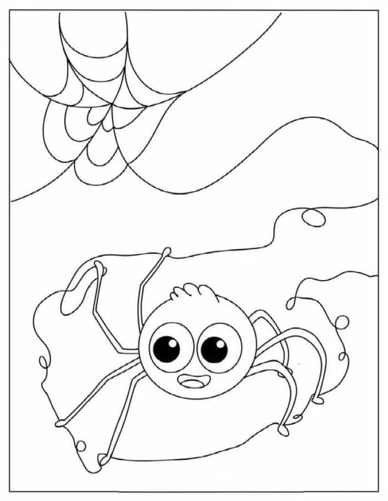 tranh-to-mau-con-nhen-halloween (10)