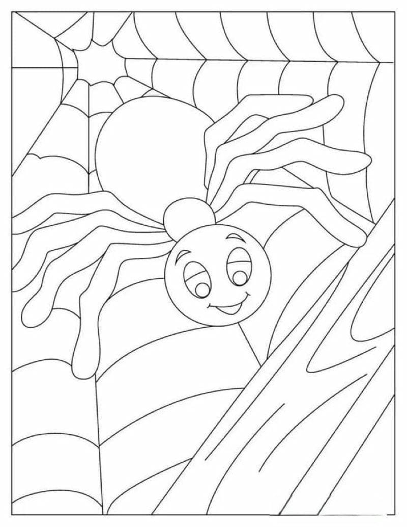 tranh-to-mau-con-nhen-halloween (16)