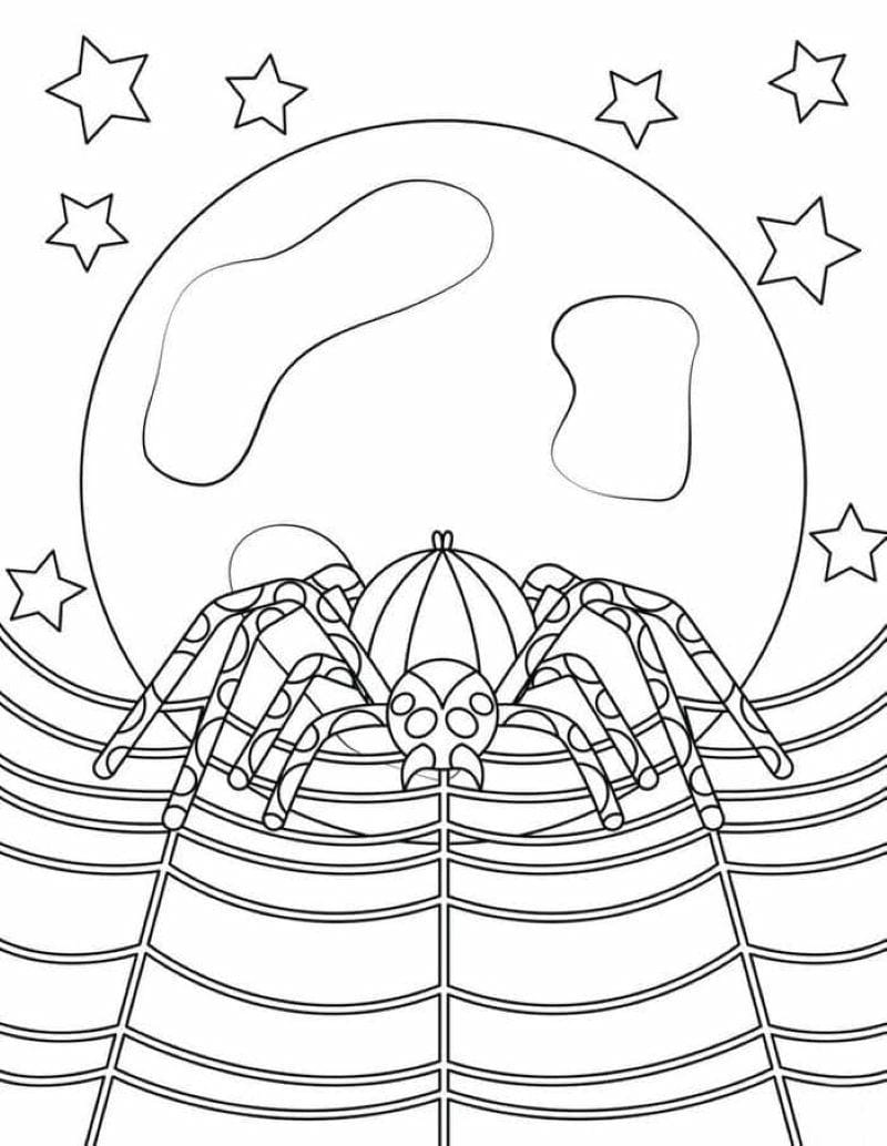 tranh-to-mau-con-nhen-halloween (20)