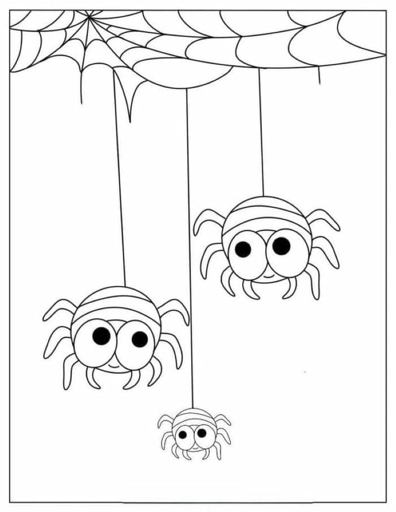 tranh-to-mau-con-nhen-halloween (21)