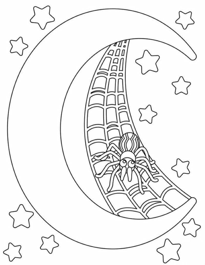 tranh-to-mau-con-nhen-halloween (26)