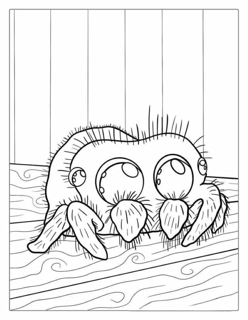 tranh-to-mau-con-nhen-halloween (33)