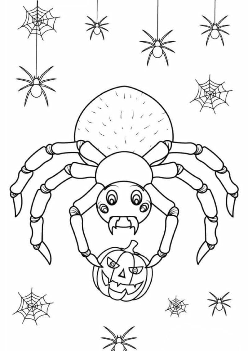 tranh-to-mau-con-nhen-halloween (39)