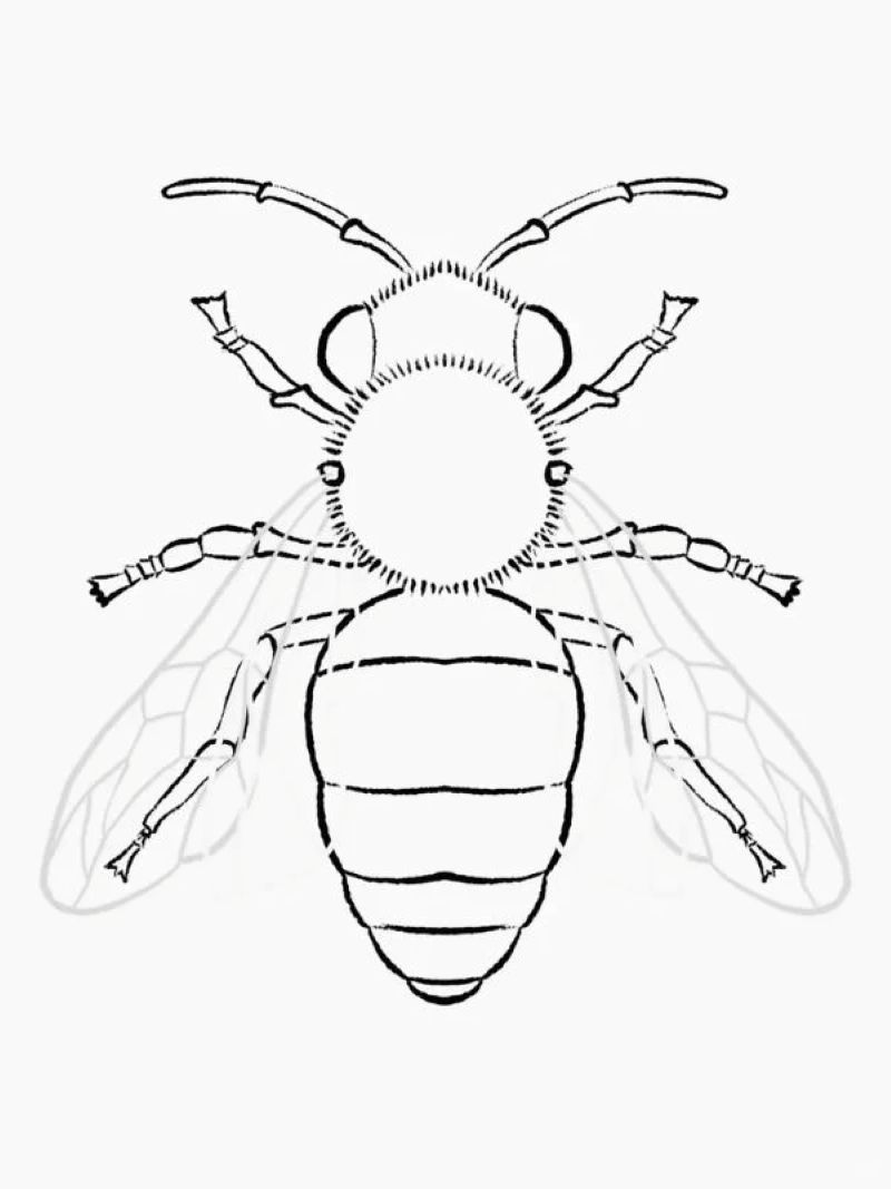 tranh-to-mau-con-ong (9)