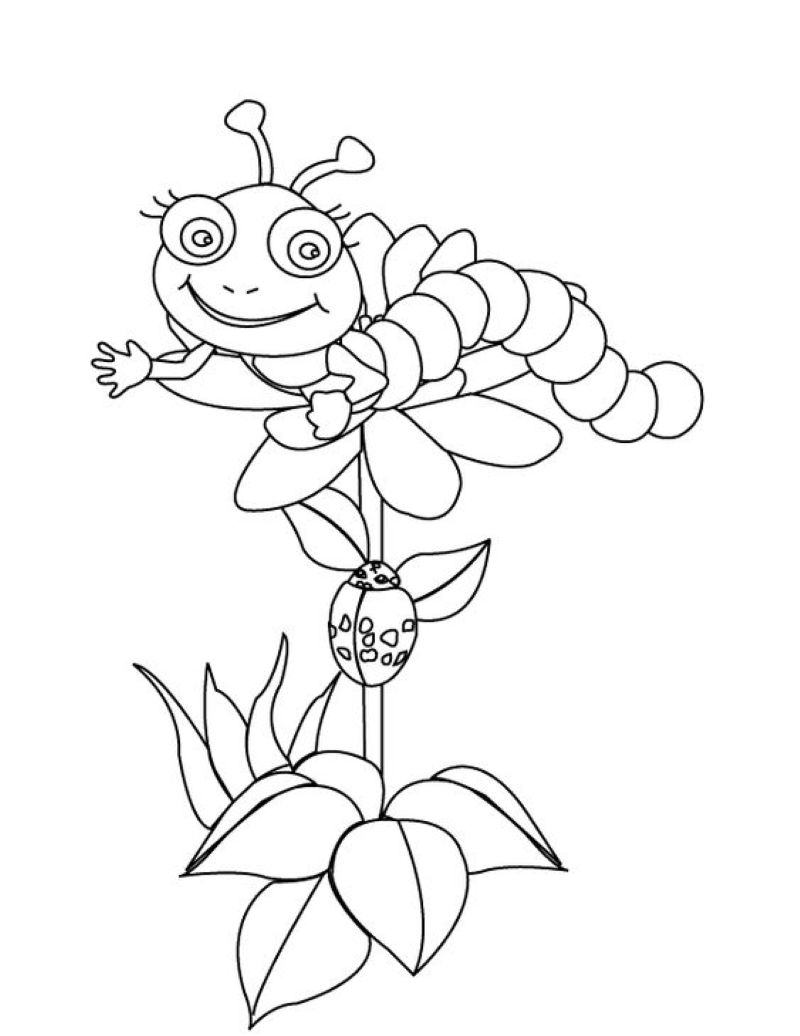 tranh-to-mau-con-sau-cute (16)