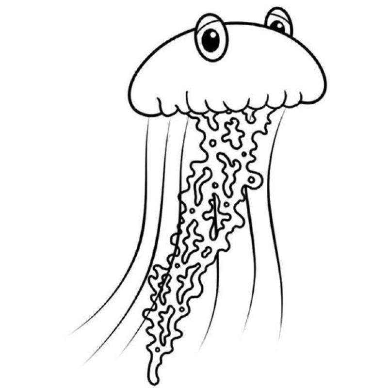 tranh-to-mau-con-sua (12)