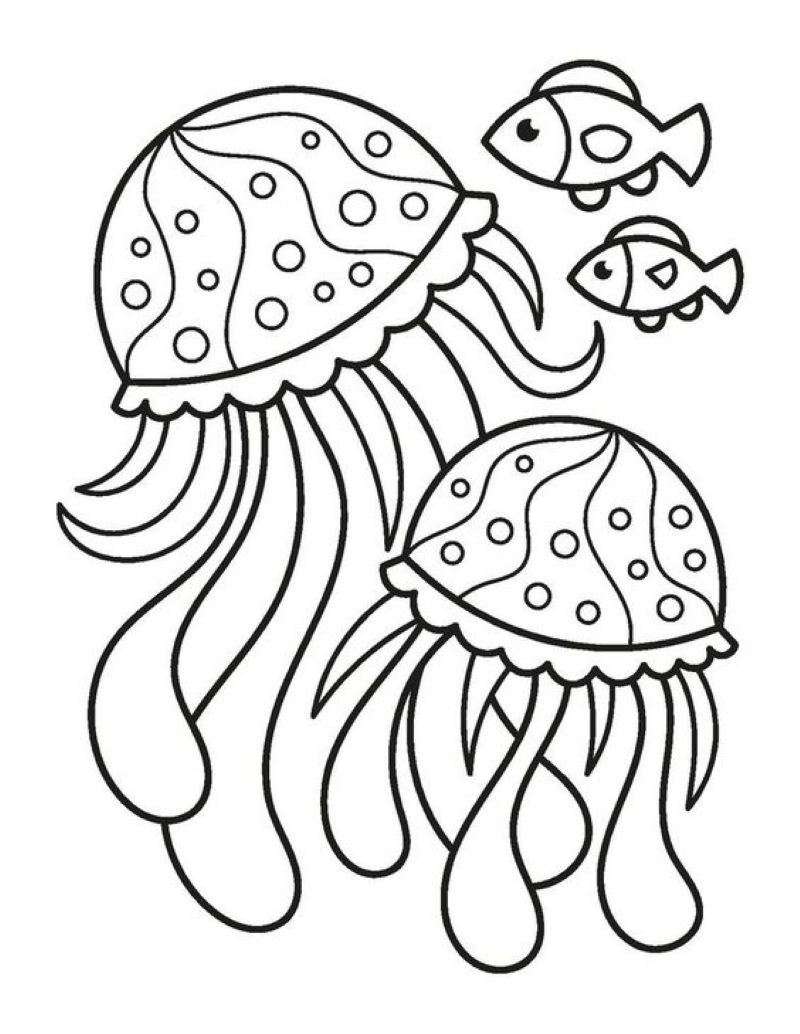 tranh-to-mau-con-sua (15)