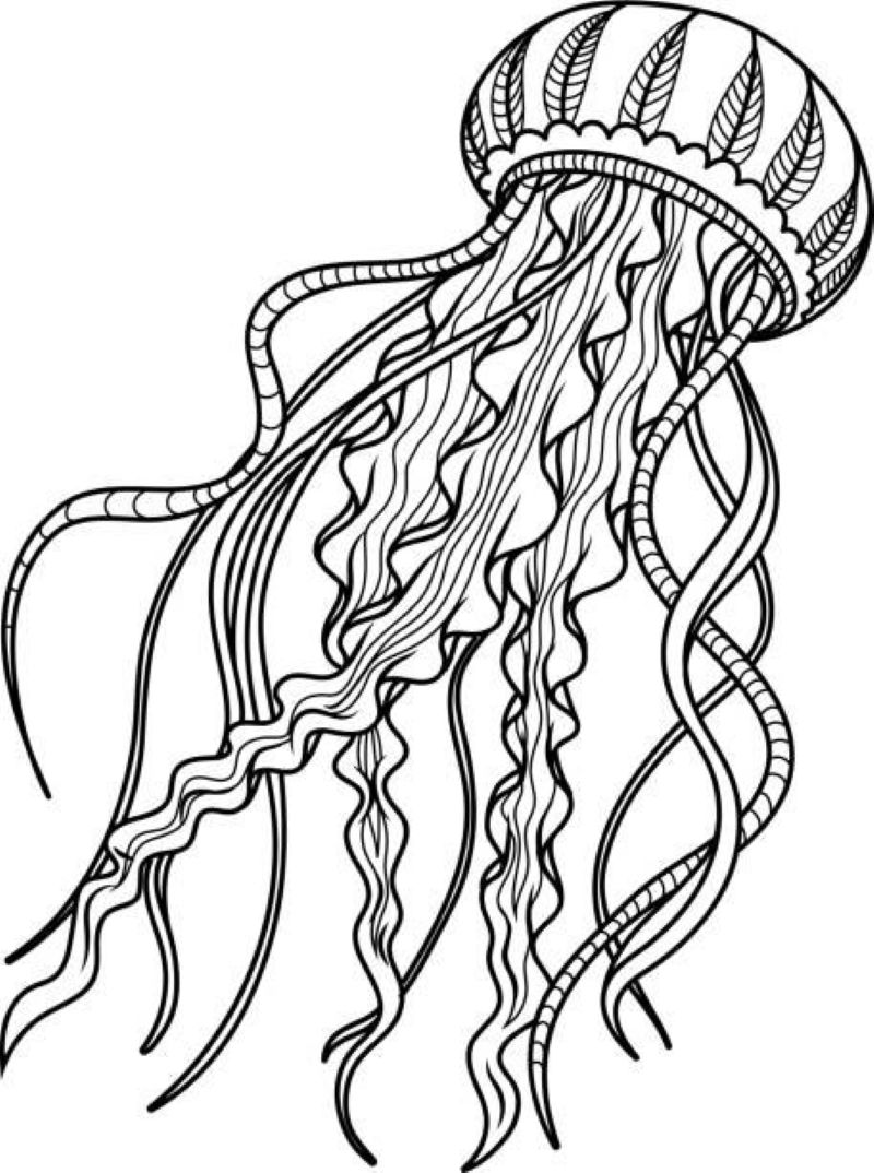 tranh-to-mau-con-sua (17)