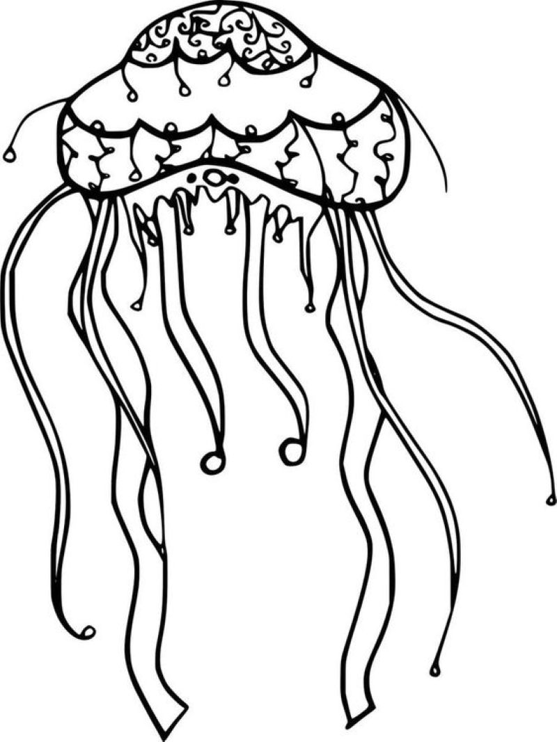 tranh-to-mau-con-sua (19)