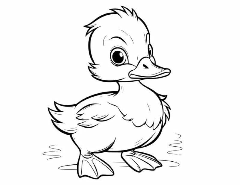 tranh-to-mau-con-vit-cute (17)