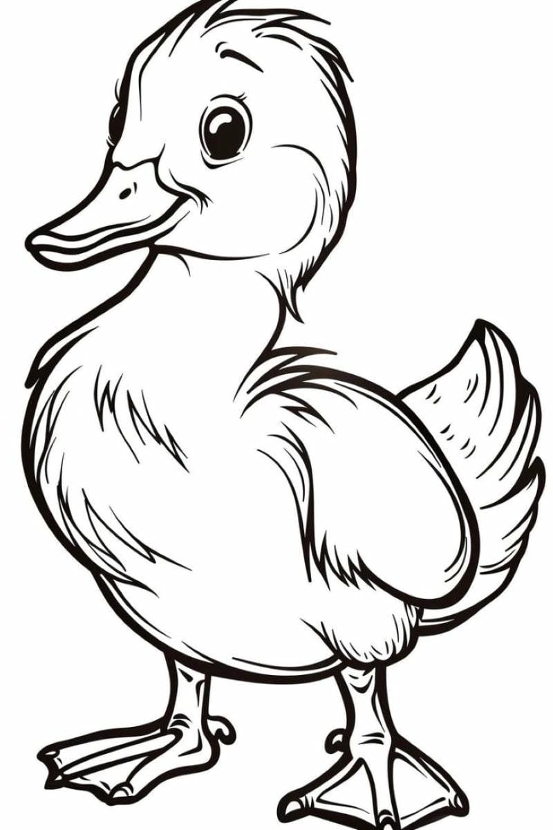 tranh-to-mau-con-vit-cute (18)