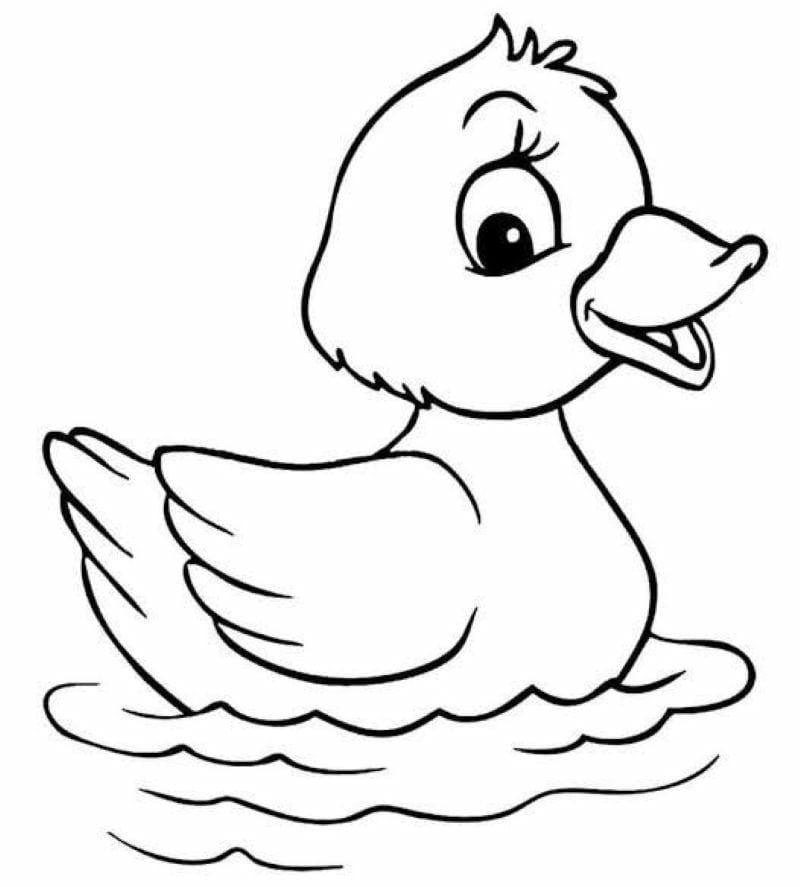 tranh-to-mau-con-vit-cute (20)