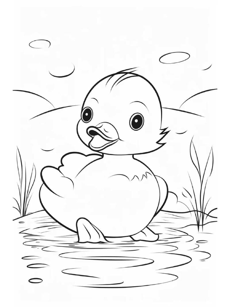 tranh-to-mau-con-vit-cute (5)