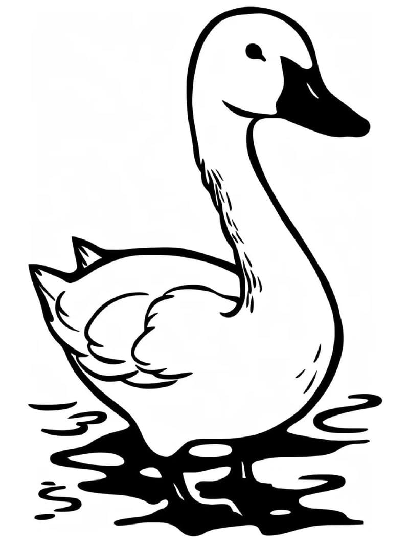 tranh-to-mau-con-vit-cute (6)