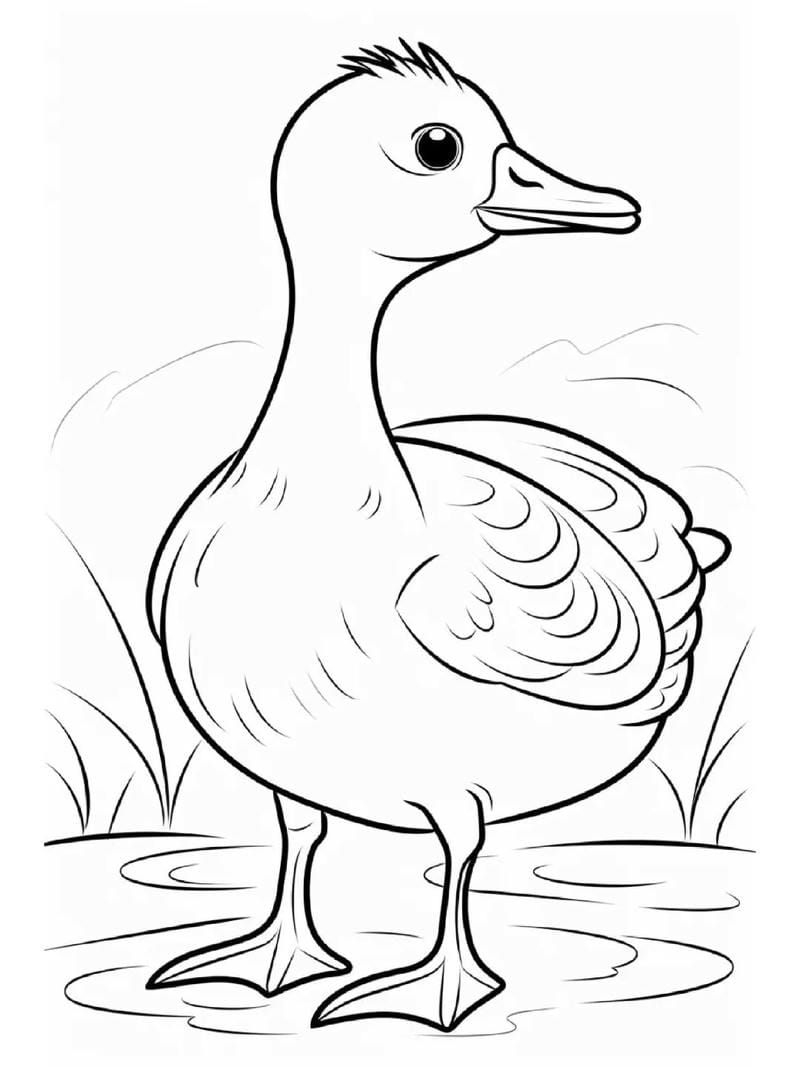 tranh-to-mau-con-vit-cute (7)