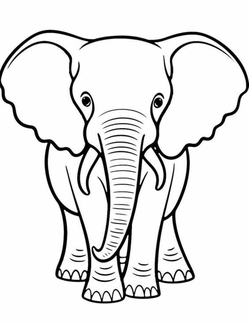 tranh-to-mau-con-voi-dep (13)