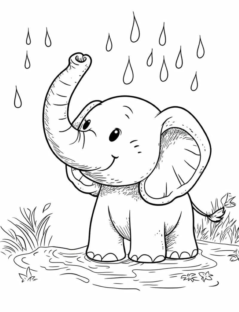 tranh-to-mau-con-voi-dep (21)