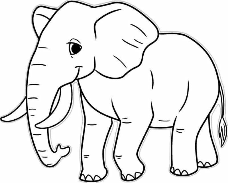 tranh-to-mau-con-voi-dep (27)