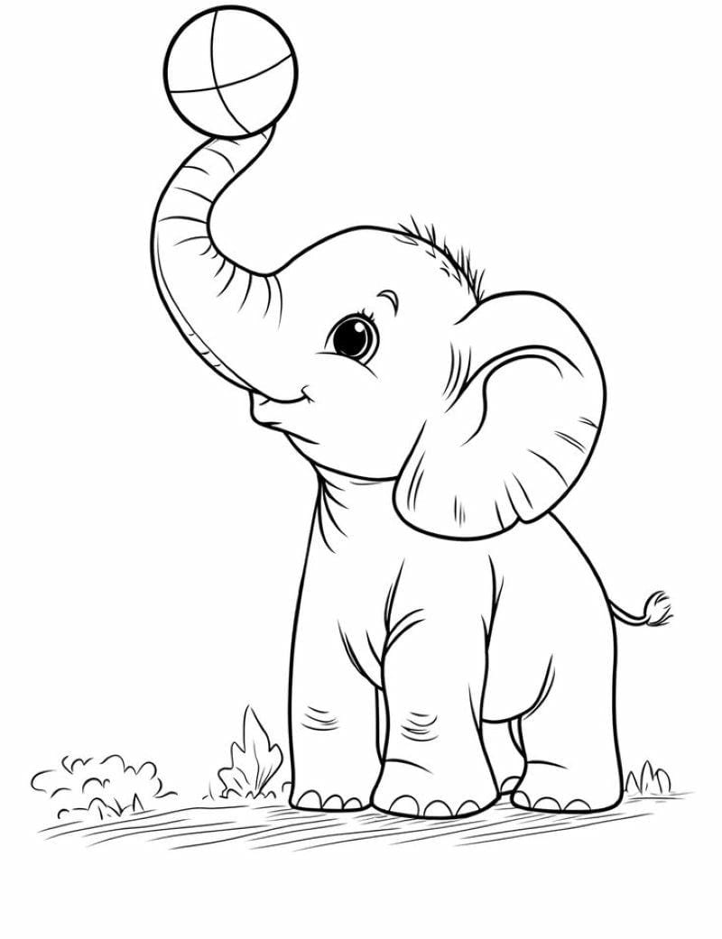 tranh-to-mau-con-voi-dep (33)