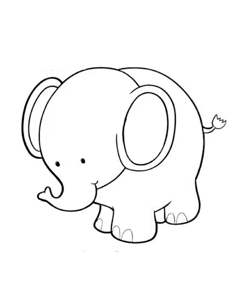 tranh-to-mau-dong-vat (10)