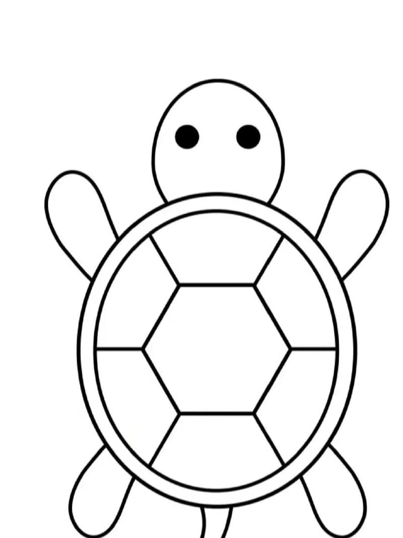 tranh-to-mau-dong-vat (11)