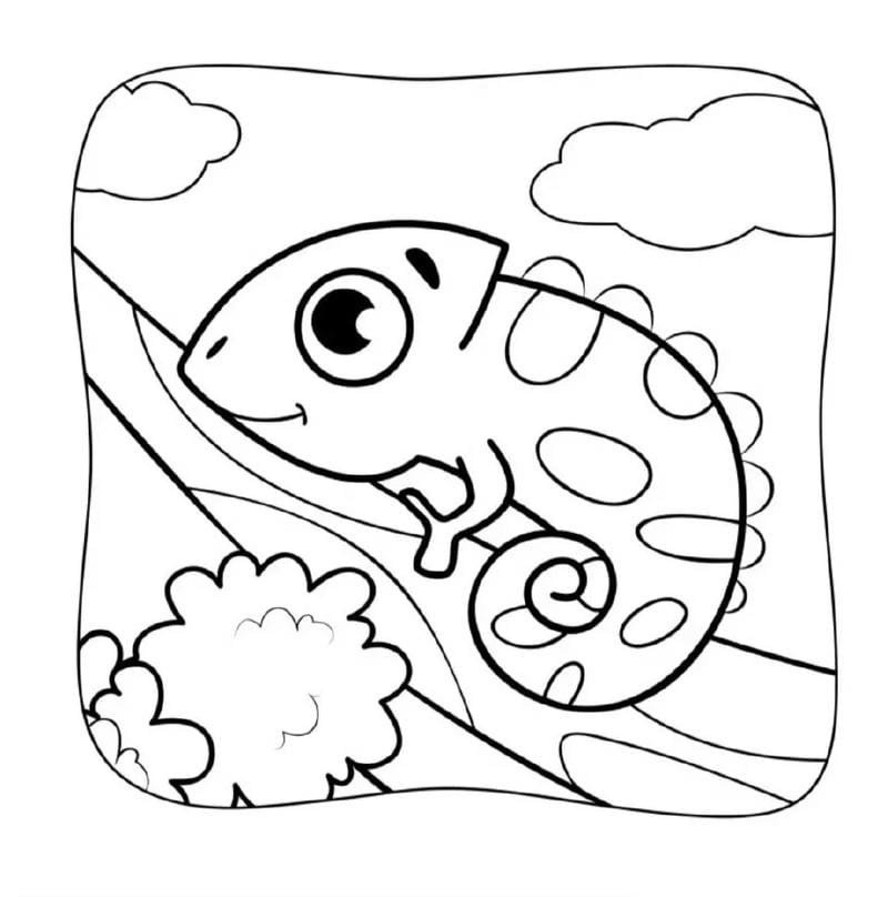 tranh-to-mau-dong-vat (17)