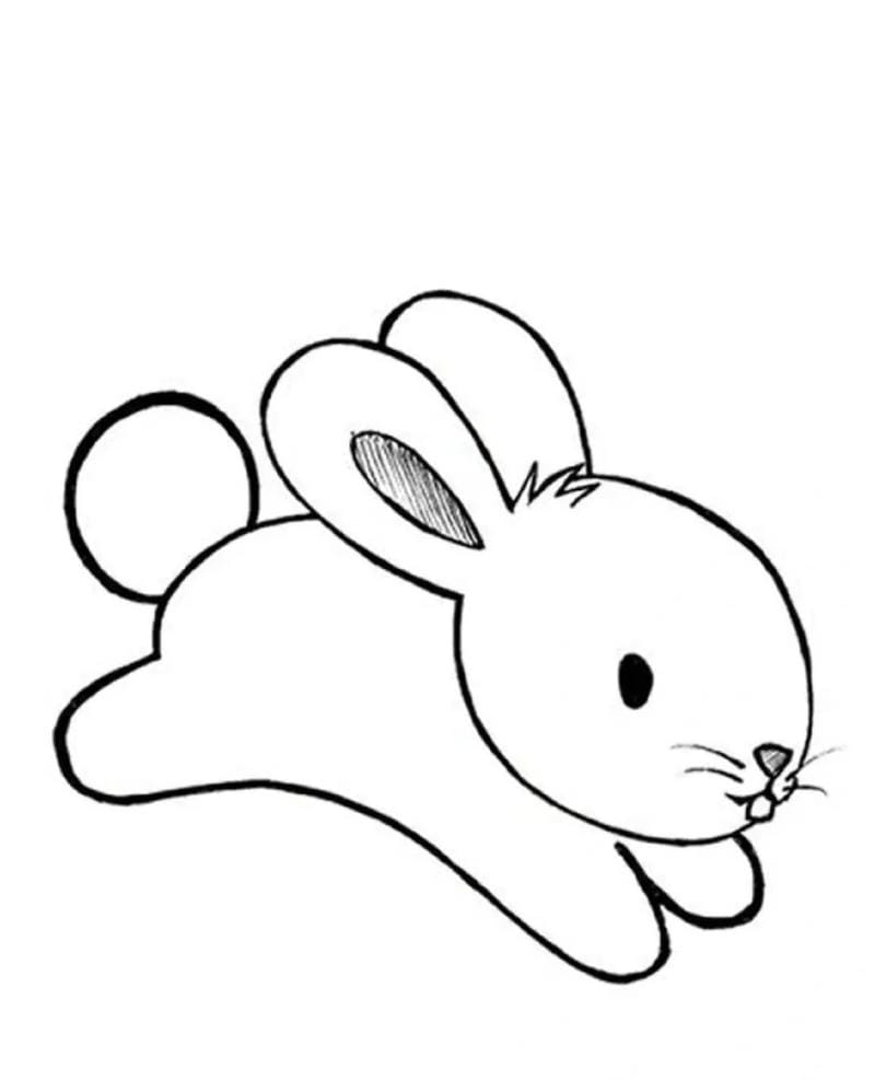 tranh-to-mau-dong-vat (9)