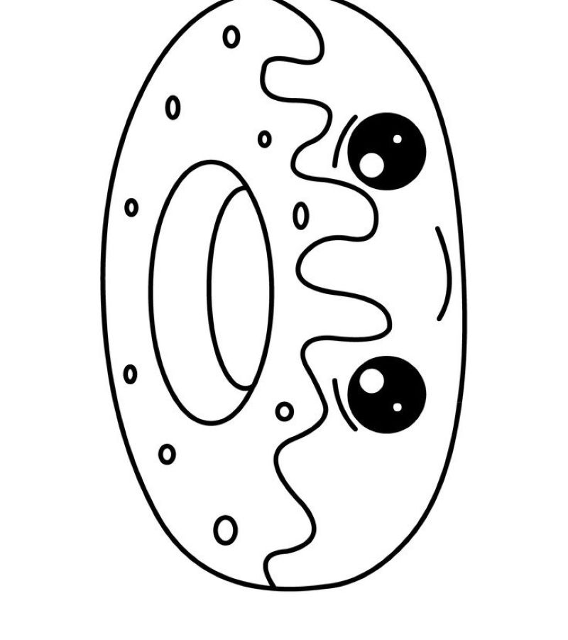 tranh-to-mau-donut (5)