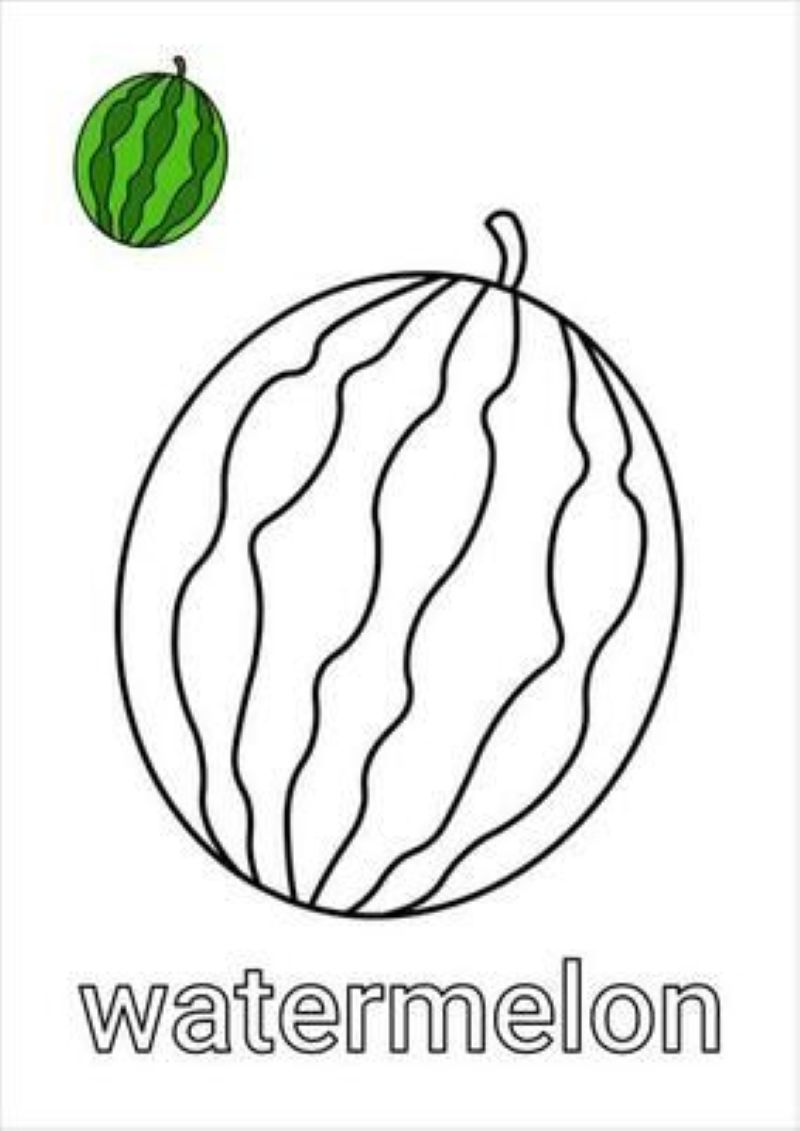 tranh-to-mau-dua-hau (26)